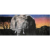 African Animals – Elephant